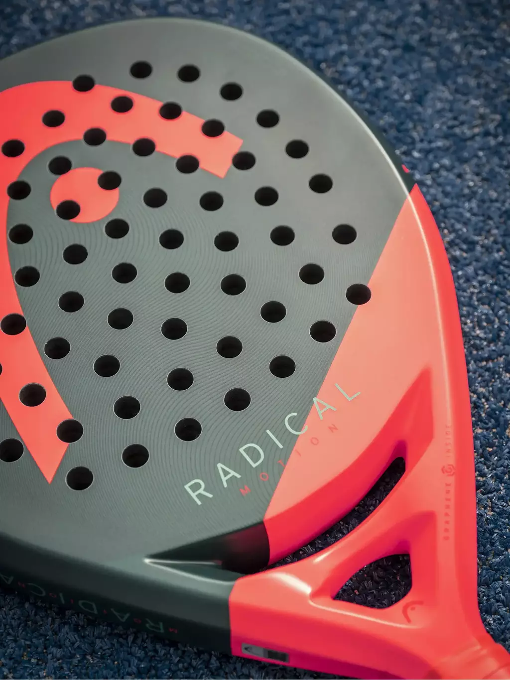 Pala Head Radical Motion 2026